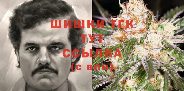эйфоретик Аркадак