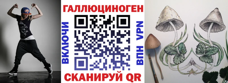 наркотики  Полесск  Псилоцибиновые грибы Magic Shrooms 